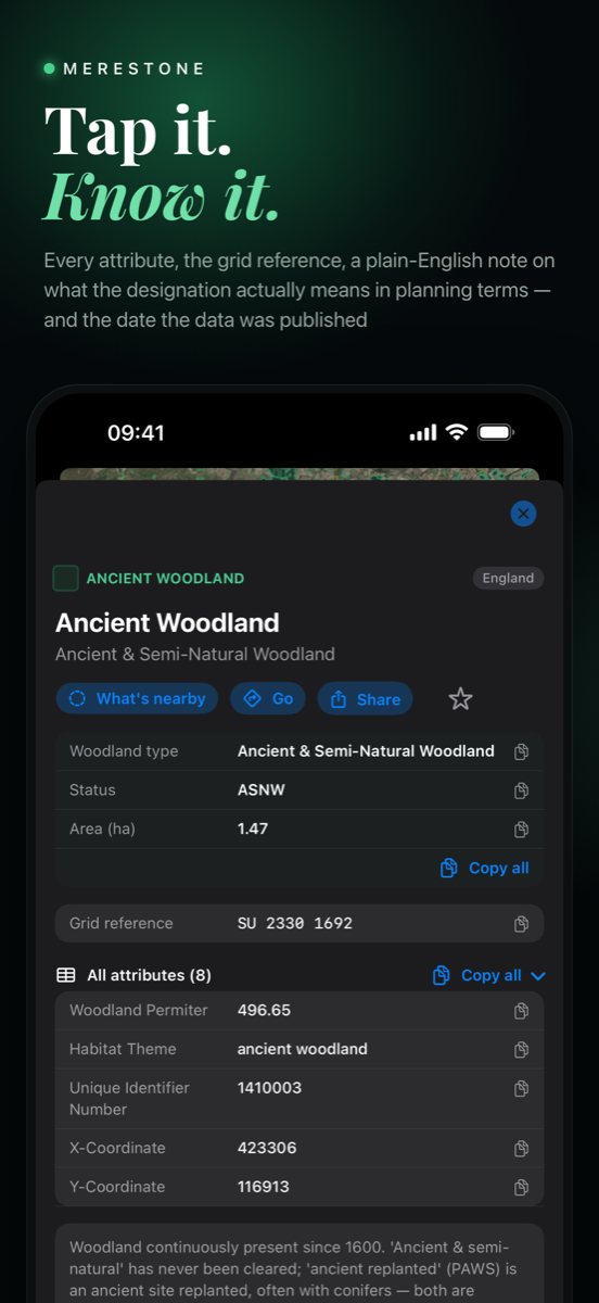 Merestone screenshot