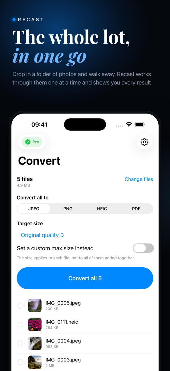 Recast screenshot